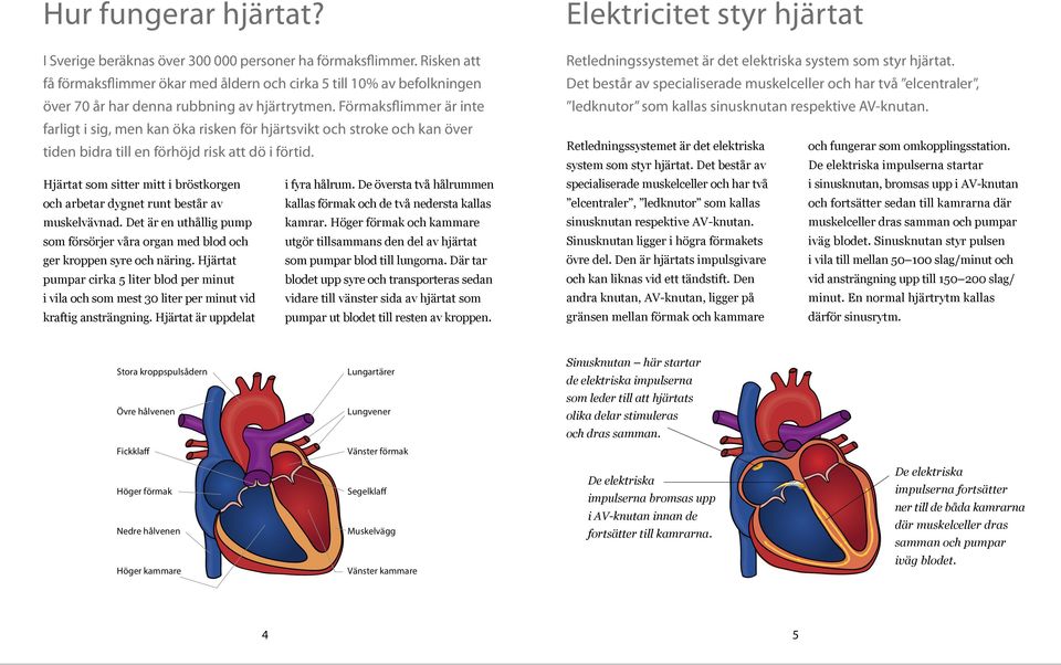 Förmaksflimmer är inte farligt i sig, men kan öka risken för hjärtsvikt och stroke och kan över tiden bidra till en förhöjd risk att dö i förtid. Hjärtat som sitter mitt i bröstkorgen i fyra hålrum.