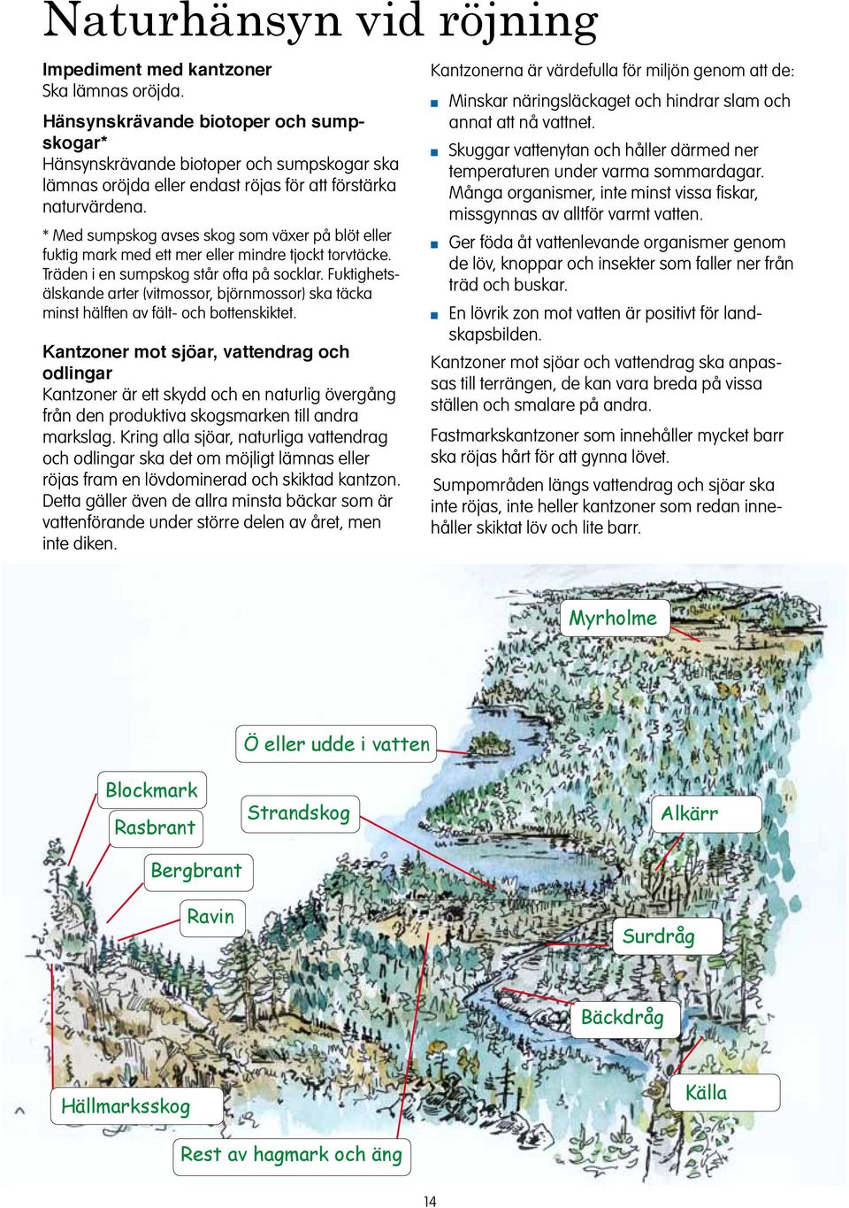 Fuktighetsälskade arter (vitmossor, björmossor) ska täcka mist hälfte av fält- och botteskiktet.