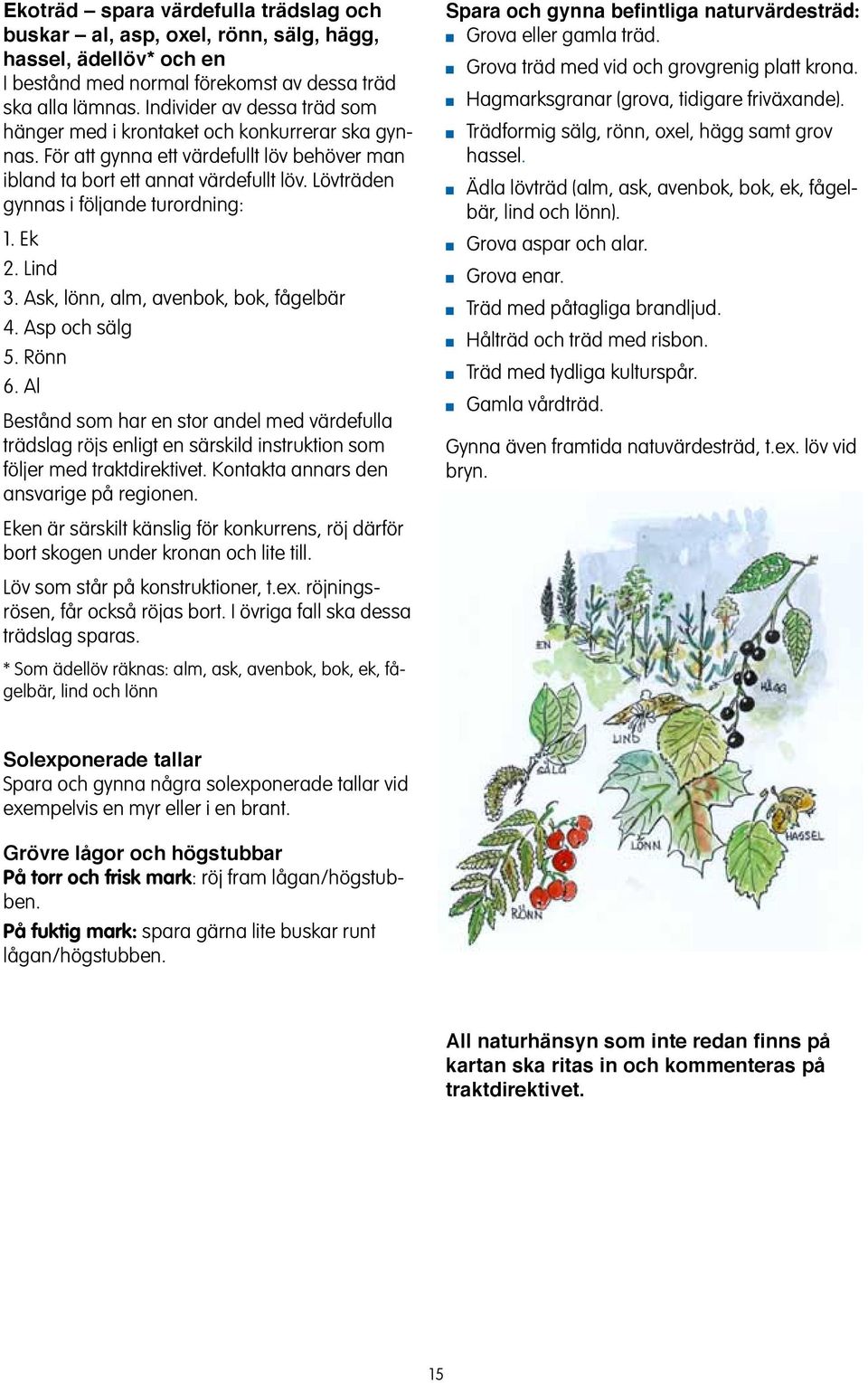 Lid 3. Ask, lö, alm, avebok, bok, fågelbär 4. Asp och sälg 5. Rö 6. Al Beståd som har e stor adel med värdefulla trädslag röjs eligt e särskild istruktio som följer med traktdirektivet.