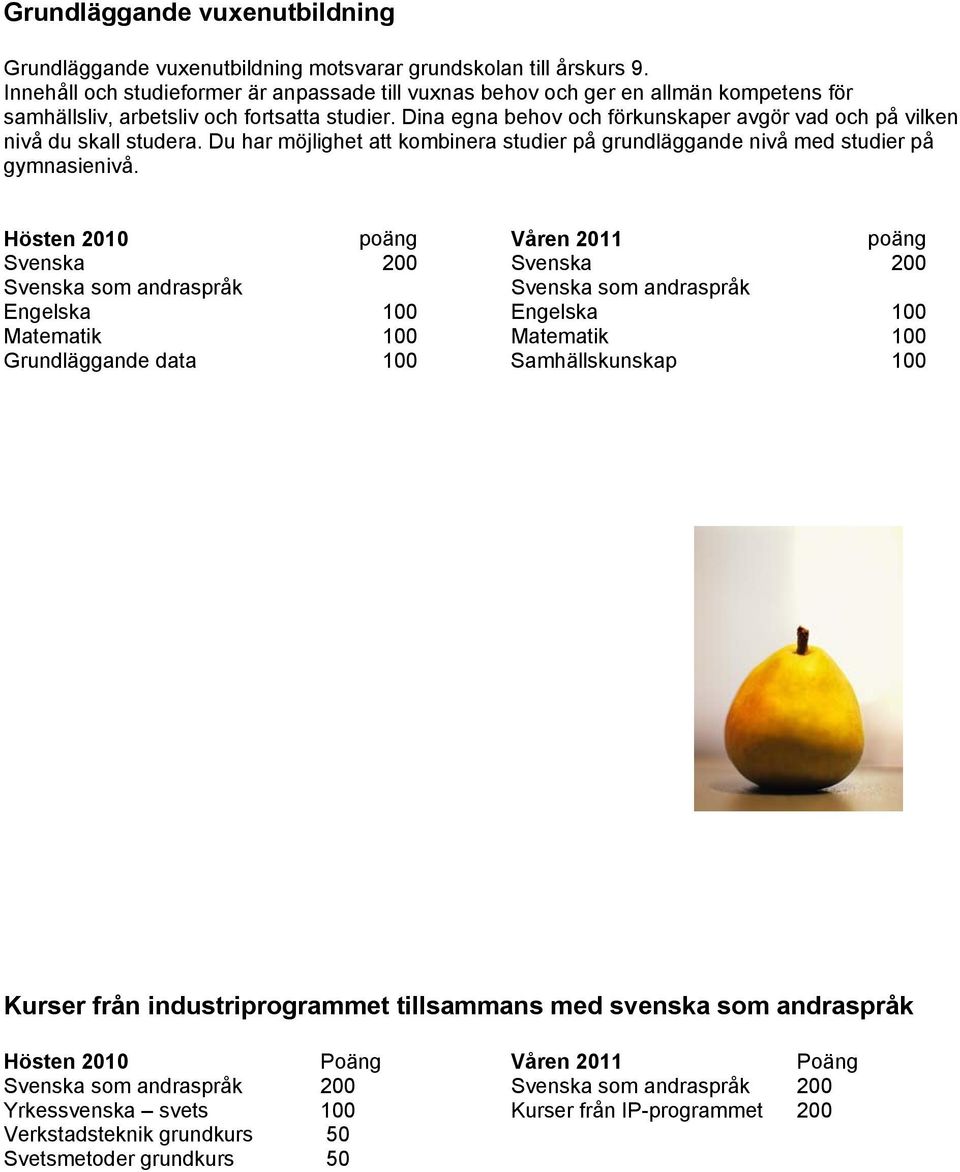 Dina egna behov och förkunskaper avgör vad och på vilken nivå du skall studera. Du har möjlighet att kombinera studier på grundläggande nivå med studier på gymnasienivå.