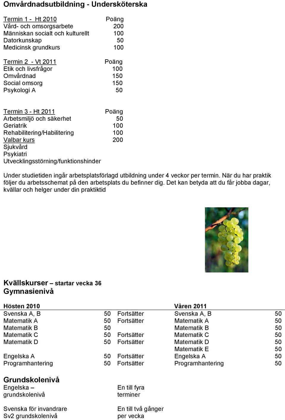 Utvecklingsstörning/funktionshinder Poäng 50 100 100 200 Under studietiden ingår arbetsplatsförlagd utbildning under 4 veckor per termin.