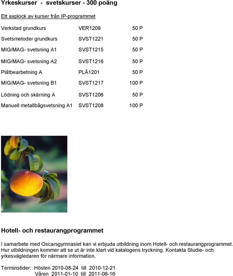 SVST1208 100 P Hotell- och restaurangprogrammet I samarbete med Oscarsgymnasiet kan vi erbjuda utbildning inom Hotell- och restaurangprogrammet.