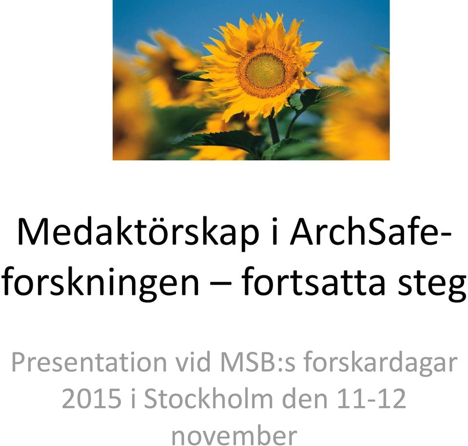 steg Presentation vid MSB:s
