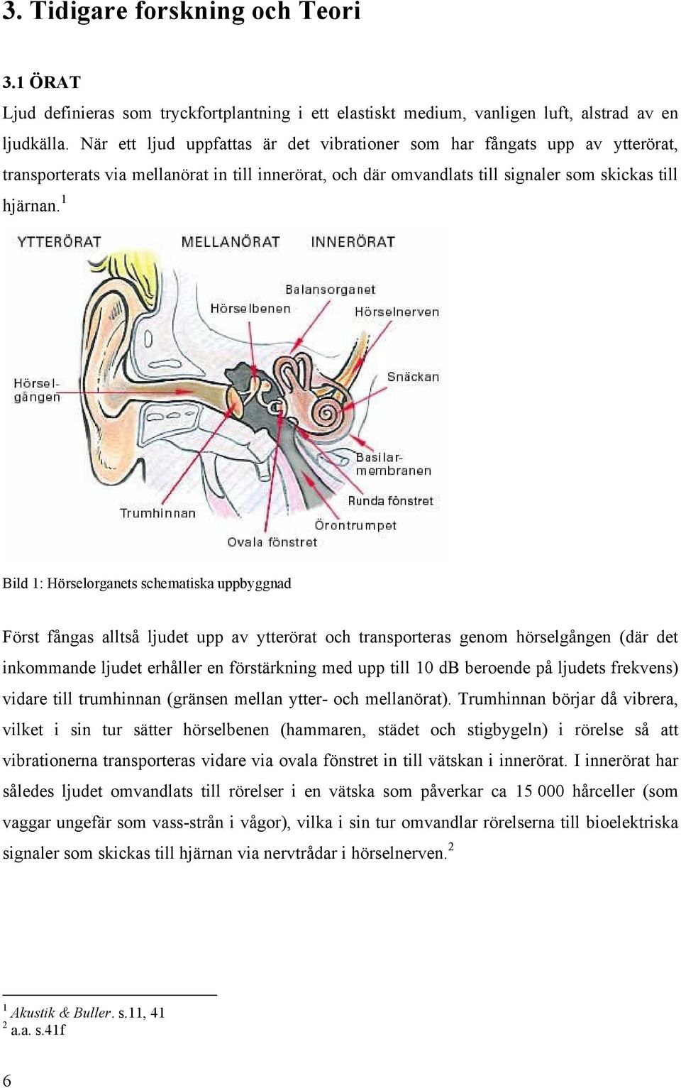 1 Bild 1: Hörselorganets schematiska uppbyggnad Först fångas alltså ljudet upp av ytterörat och transporteras genom hörselgången (där det inkommande ljudet erhåller en förstärkning med upp till 10 db