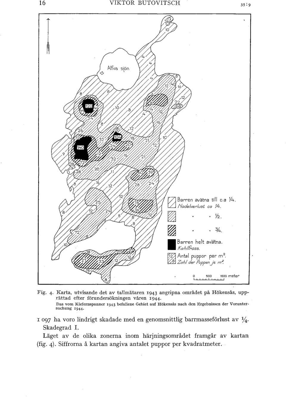 Das vom Kiefernspanner 1943 befaene Gebiet auf Hökensås nach den Ergebnissen der Vorunter~ suchung I 944 I 097 ha voro indrigt skadade med