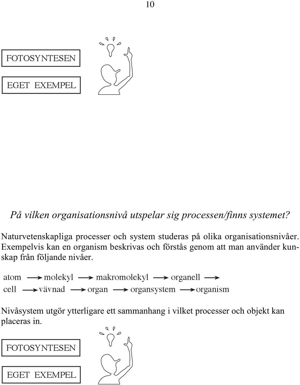 Exempelvis kan en organism beskrivas och förstås genom att man använder kunskap från följande nivåer.