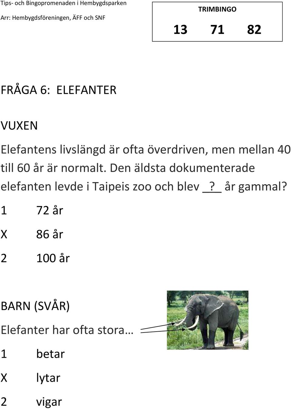 Den äldsta dokumenterade elefanten levde i Taipeis zoo och blev _?