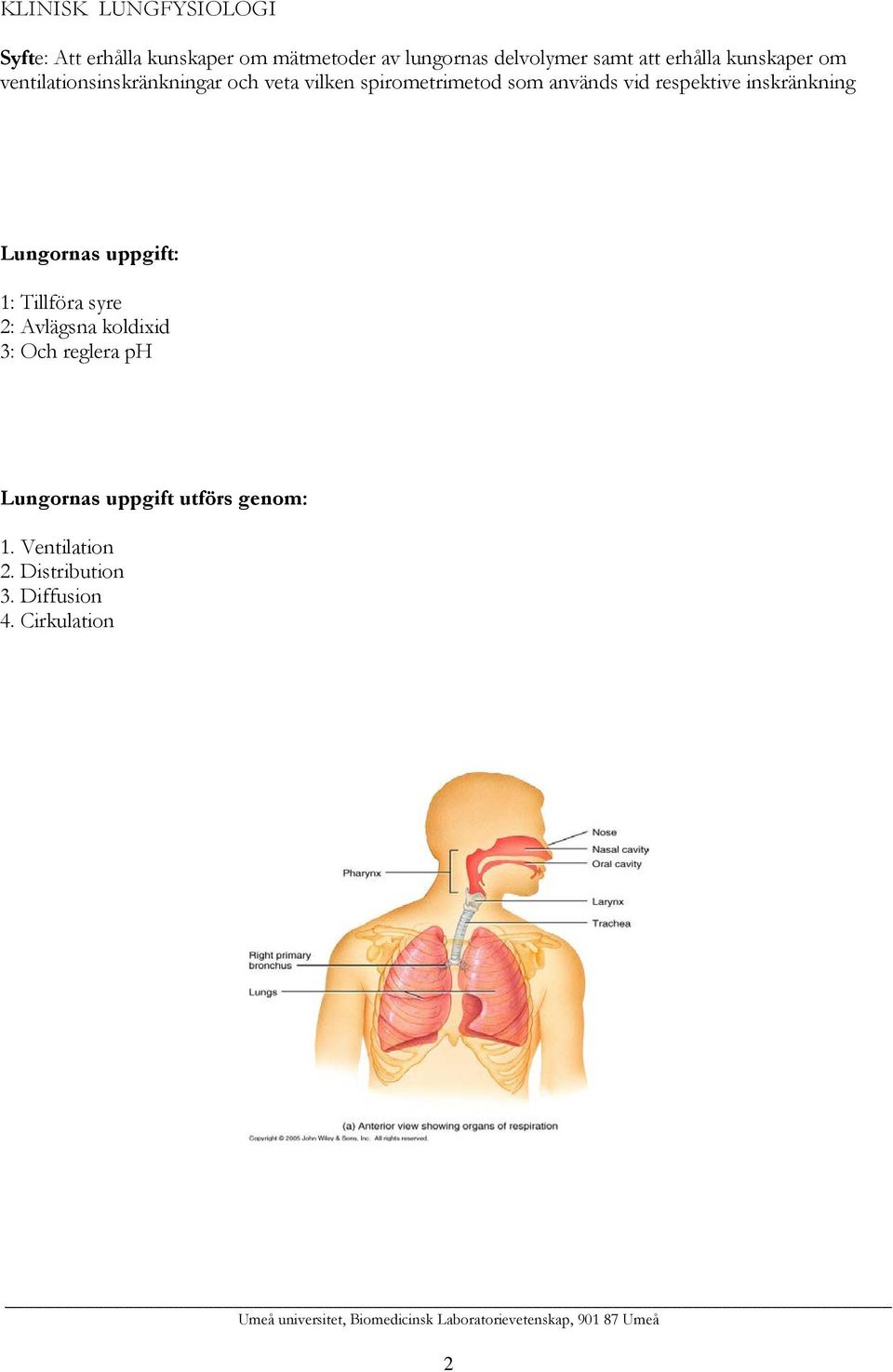 vid respektive inskränkning Lungornas uppgift: 1: Tillföra syre 2: Avlägsna koldixid 3: Och