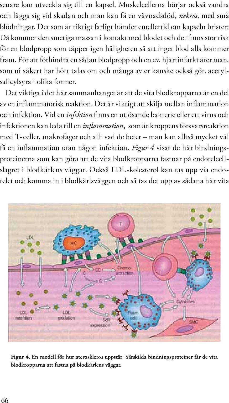 blod alls kommer fram. För att förhindra en sådan blodpropp och en ev. hjärtinfarkt äter man, som ni säkert har hört talas om och många av er kanske också gör, acetylsalicylsyra i olika former.