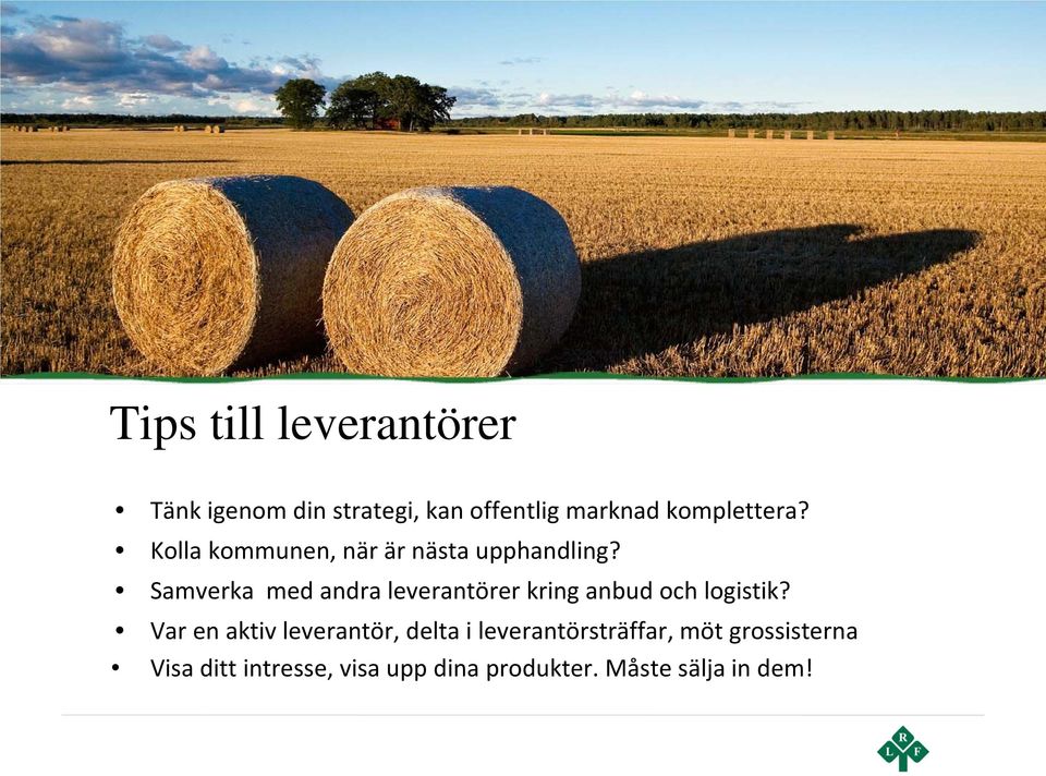 Samverka med andra leverantörer kring anbud och logistik?