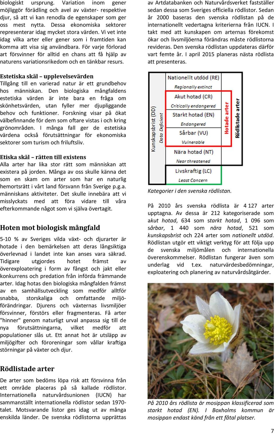 För varje förlorad art försvinner för alltid en chans att få hjälp av naturens variationsrikedom och en tänkbar resurs.