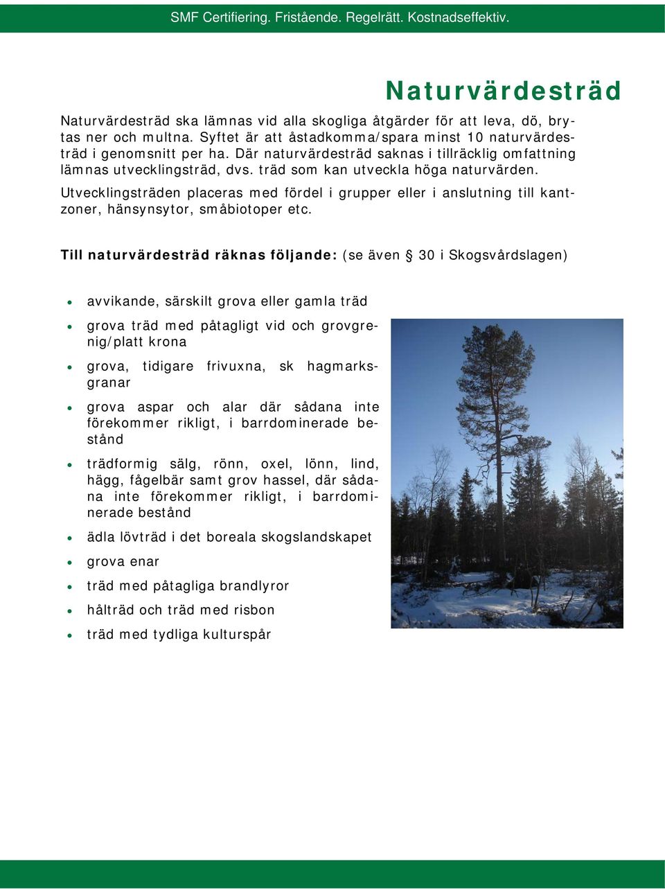 Utvecklingsträden placeras med fördel i grupper eller i anslutning till kantzoner, hänsynsytor, småbiotoper etc.