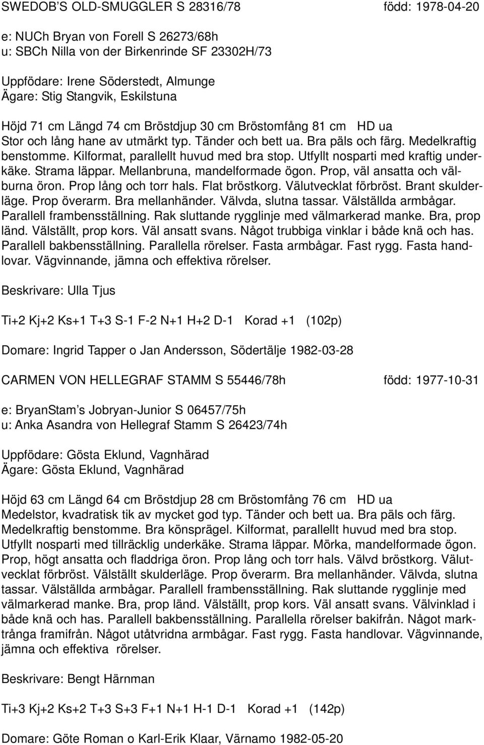 Kilformat, parallellt huvud med bra stop. Utfyllt nosparti med kraftig underkäke. Strama läppar. Mellanbruna, mandelformade ögon. Prop, väl ansatta och välburna öron. Prop lång och torr hals.