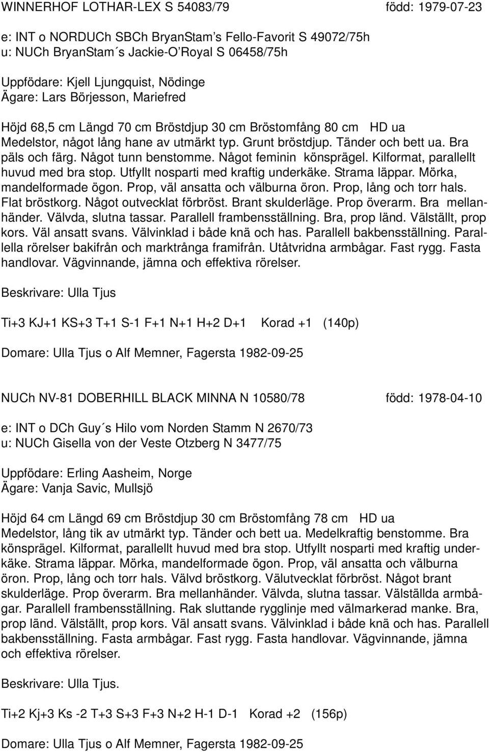 Något tunn benstomme. Något feminin könsprägel. Kilformat, parallellt huvud med bra stop. Utfyllt nosparti med kraftig underkäke. Strama läppar. Mörka, mandelformade ögon.