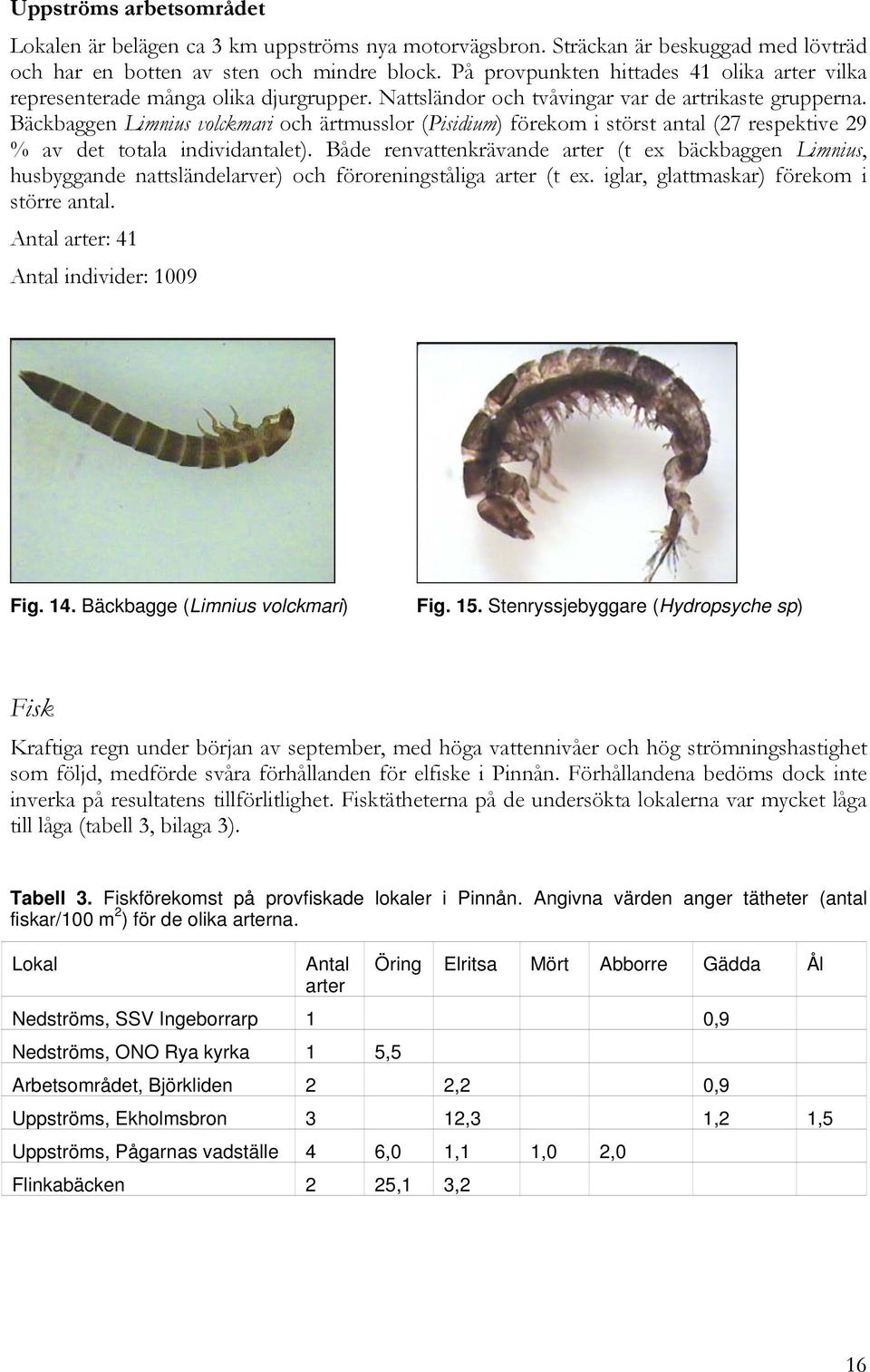 Bäckbaggen Limnius volckmari och ärtmusslor (Pisidium) förekom i störst antal (27 respektive 29 % av det totala individantalet).