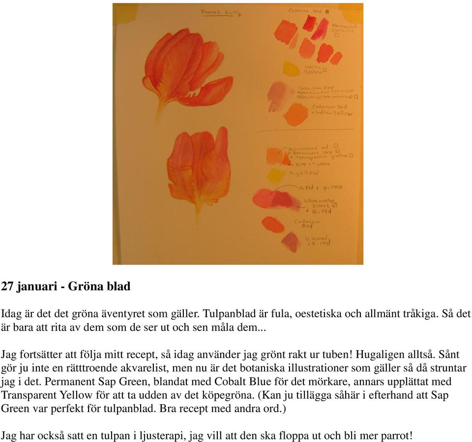 Sånt gör ju inte en rätttroende akvarelist, men nu är det botaniska illustrationer som gäller så då struntar jag i det.