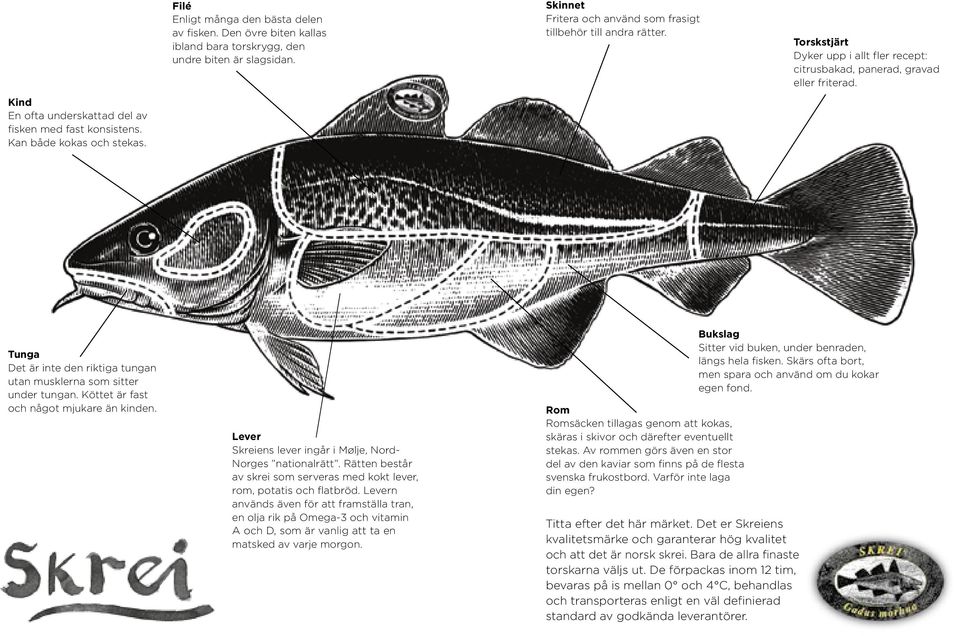Torskstjärt Dyker upp i allt fler recept: citrusbakad, panerad, gravad eller friterad. Tunga Det är inte den riktiga tungan utan musklerna som sitter under tungan.