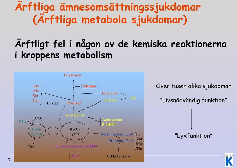 Över tusen olika sjukdomar Livsnödvändig funktion NH 3 CO 2 Ureacykeln Urea AcetylCoA Krebs cykel O 2