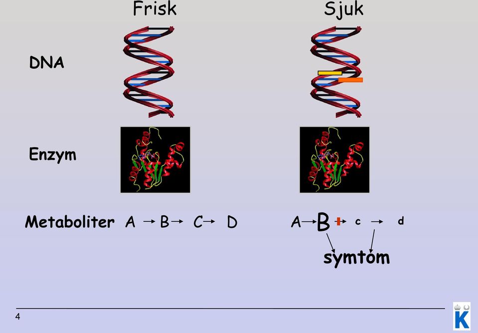 Metaboliter A