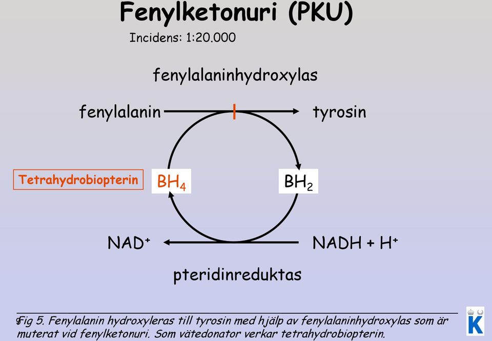 NAD + NADH + H + pteridinreduktas 9Fig 5.