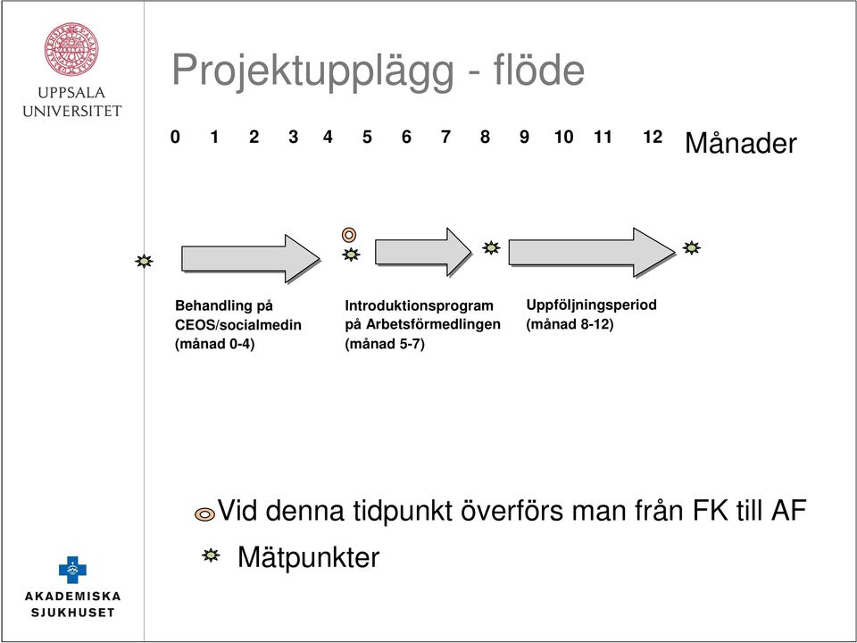 Introduktionsprogram på Arbetsförmedlingen (månad 5-7)