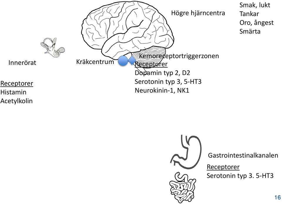 Kemoreceptortriggerzonen Receptorer Dopamin typ 2, D2 Serotonin