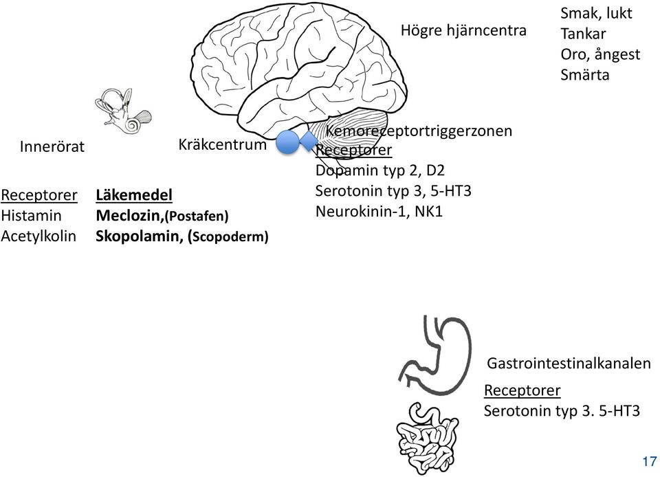 (Scopoderm) Kemoreceptortriggerzonen Receptorer Dopamin typ 2, D2 Serotonin typ