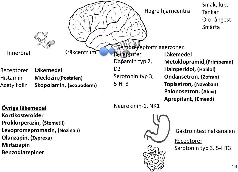 Benzodiazepiner Kemoreceptortriggerzonen Receptorer Läkemedel Dopamin typ 2, Metoklopramid,(Primperan) D2 Haloperidol, (Haldol) Serotonin typ 3,