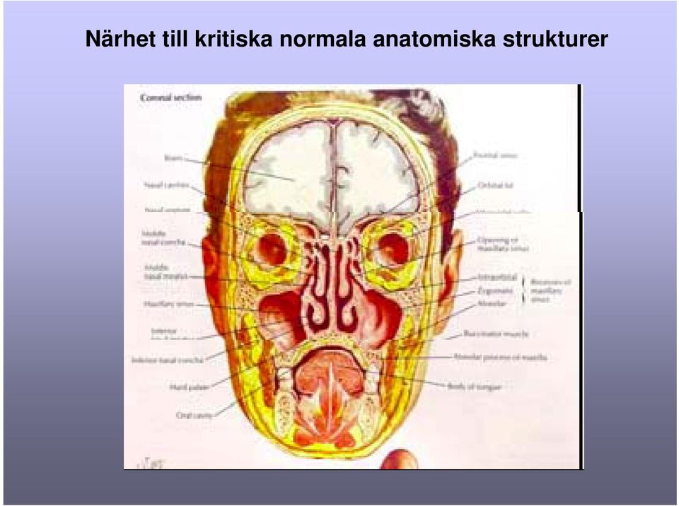 normala