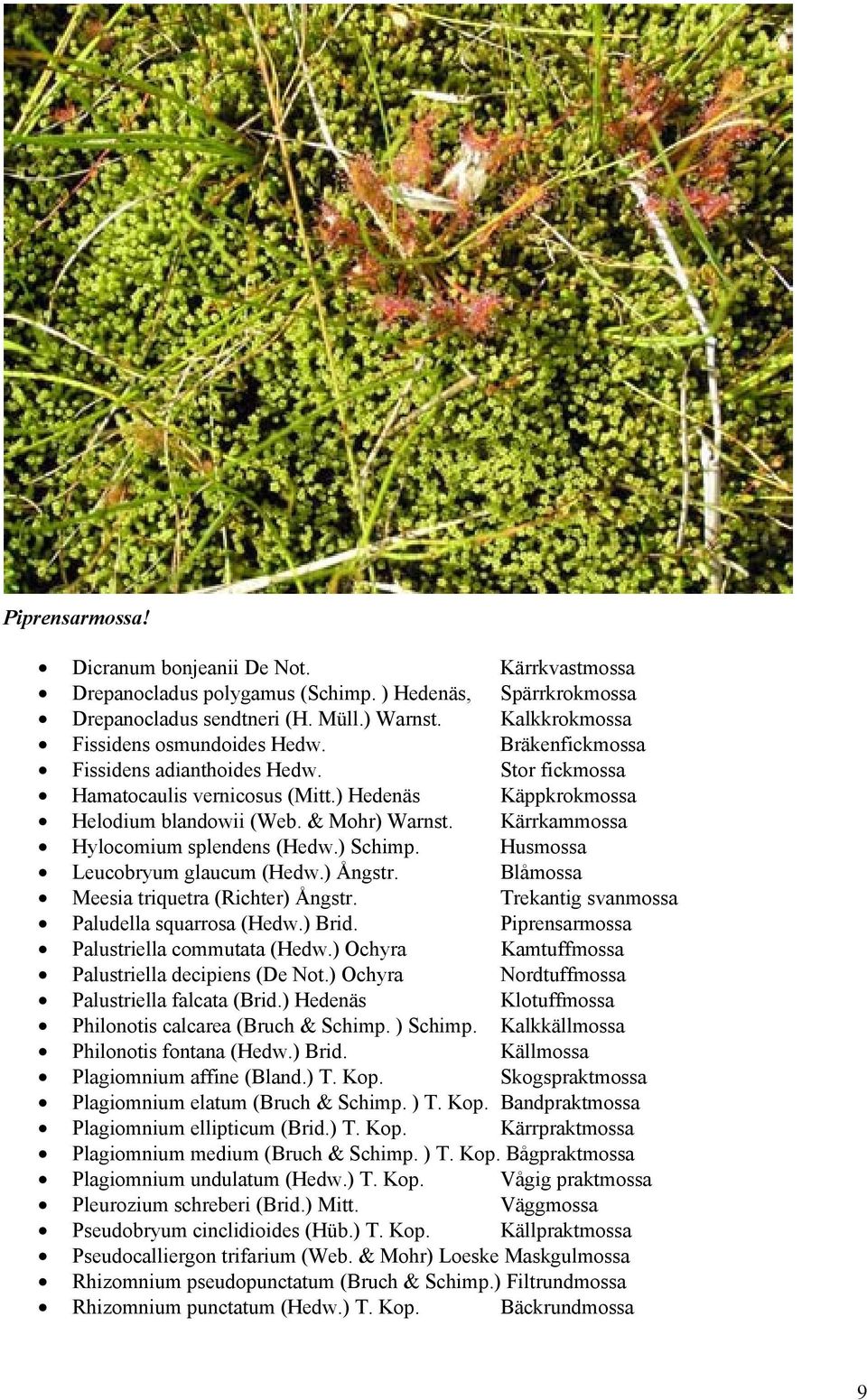 Kärrkammossa Hylocomium splendens (Hedw.) Schimp. Husmossa Leucobryum glaucum (Hedw.) Ångstr. Blåmossa Meesia triquetra (Richter) Ångstr. Trekantig svanmossa Paludella squarrosa (Hedw.) Brid.