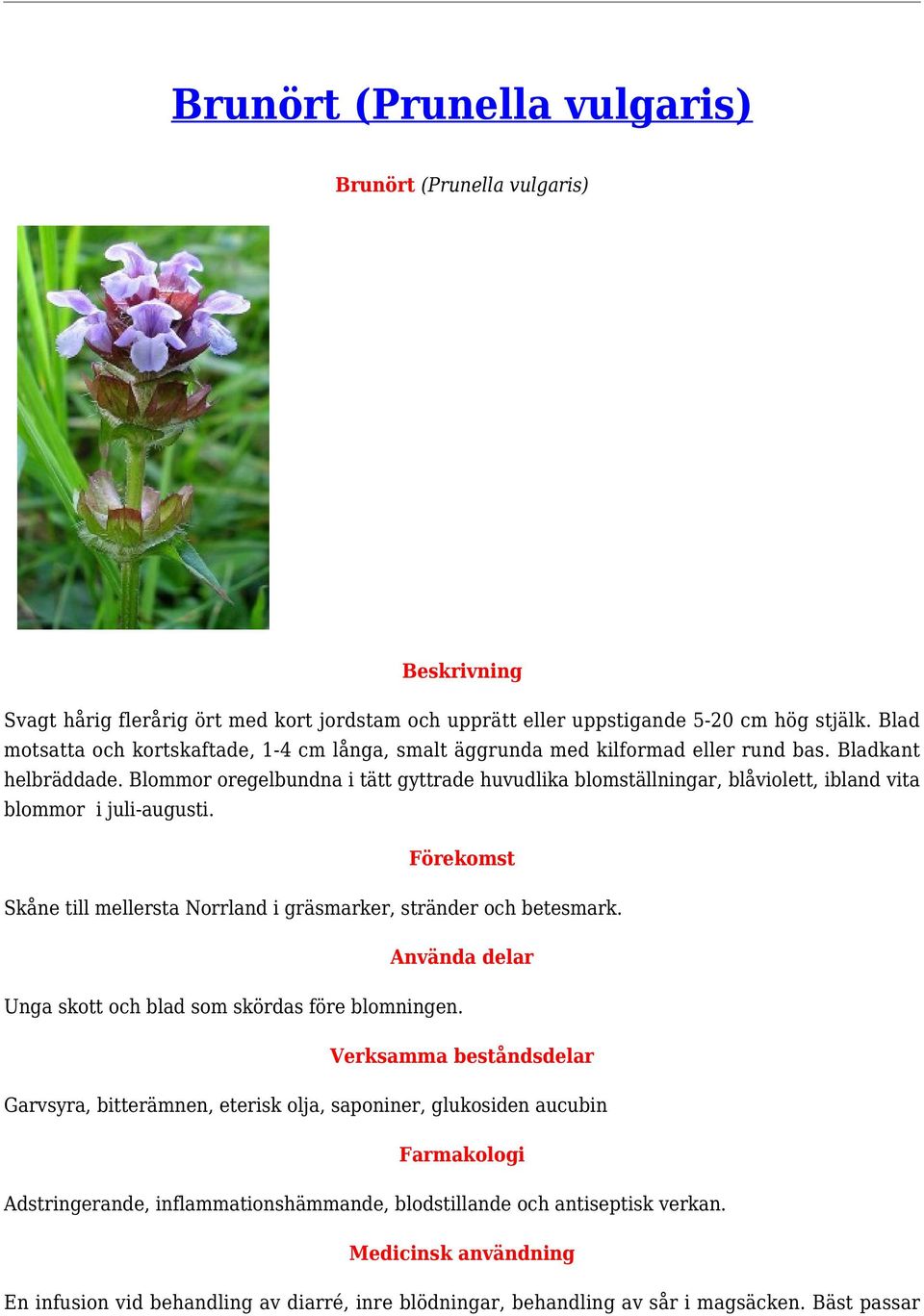 Blommor oregelbundna i tätt gyttrade huvudlika blomställningar, blåviolett, ibland vita blommor i juli-augusti. Skåne till mellersta Norrland i gräsmarker, stränder och betesmark.