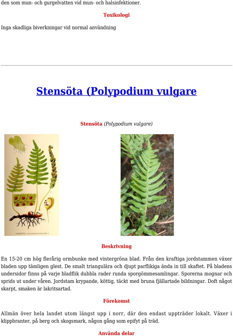 Från den kraftiga jordstammen växer bladen upp tämligen glest. De smalt triangulära och djupt parflikiga ända in till skaftet.