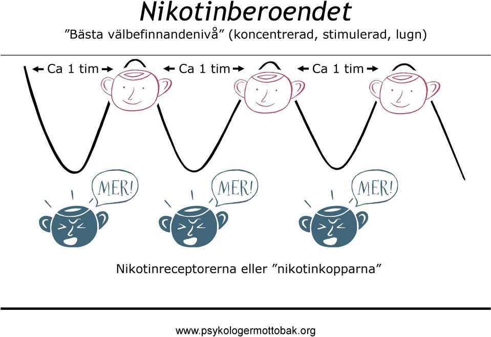 stimulerad, lugn) Ca 1 tim Ca 1 tim