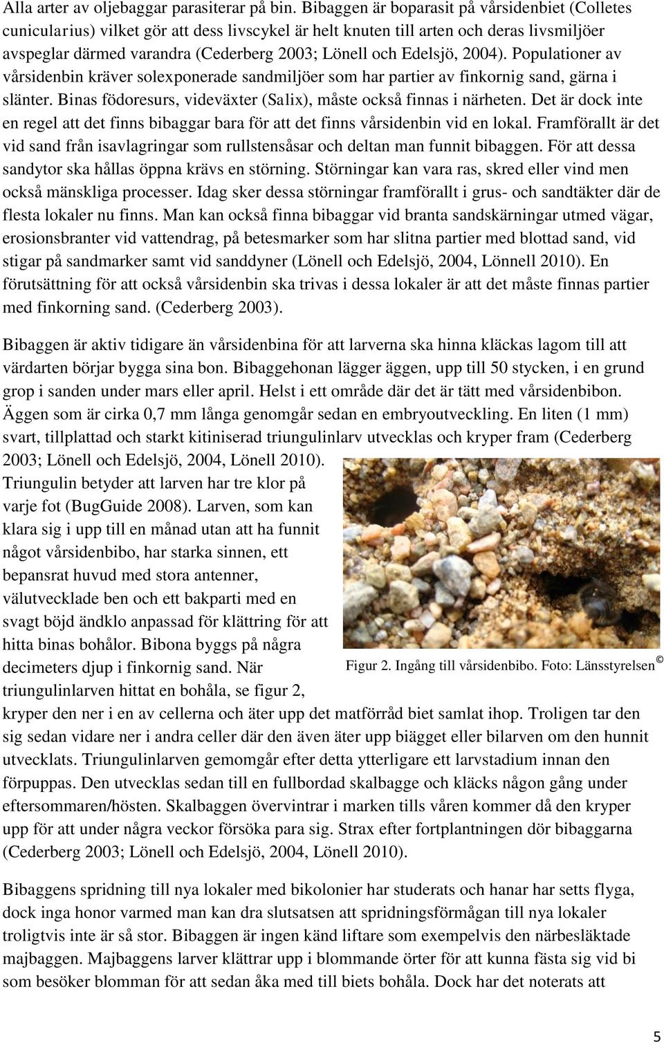 Edelsjö, 2004). Populationer av vårsidenbin kräver solexponerade sandmiljöer som har partier av finkornig sand, gärna i slänter. Binas födoresurs, videväxter (Salix), måste också finnas i närheten.