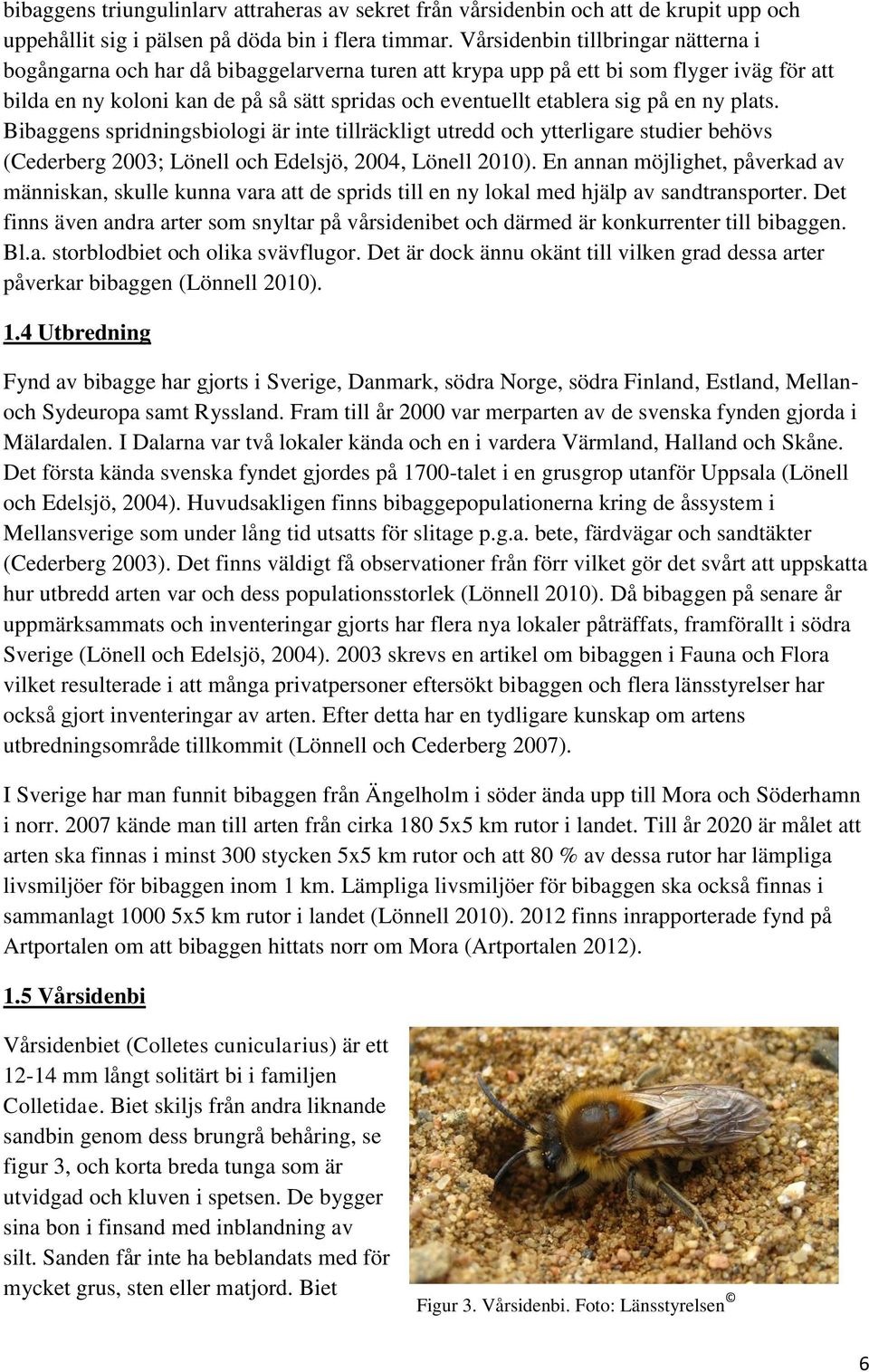 på en ny plats. Bibaggens spridningsbiologi är inte tillräckligt utredd och ytterligare studier behövs (Cederberg 2003; Lönell och Edelsjö, 2004, Lönell 2010).