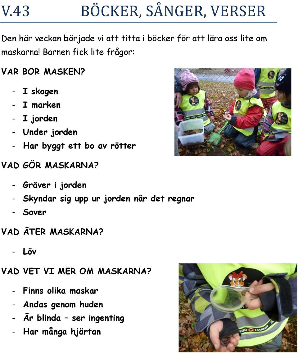 - I skogen - I marken - I jorden - Under jorden - Har byggt ett bo av rötter VAD GÖR MASKARNA?