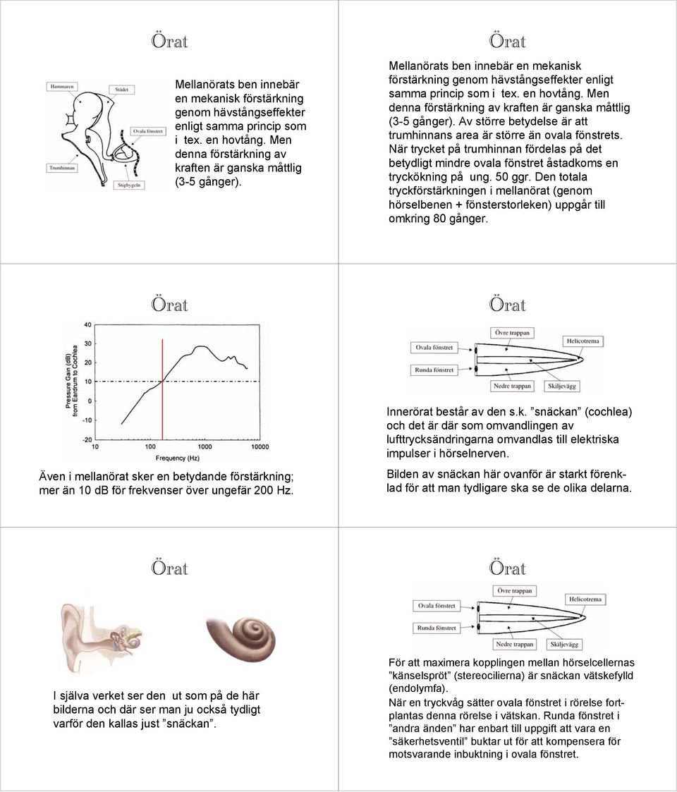 Den totala tryckförstärkningen i mellanörat (genom hörselbenen + fönsterstorleken) uppgår till omkring 80 gånger.