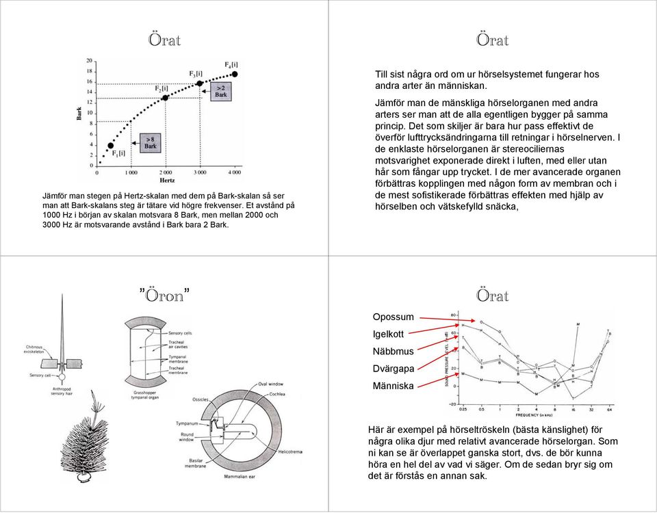 Till sist några ord om ur hörselsystemet fungerar hos andra arter än människan. Jämför man de mänskliga hörselorganen med andra arters ser man att de alla egentligen bygger på samma princip.