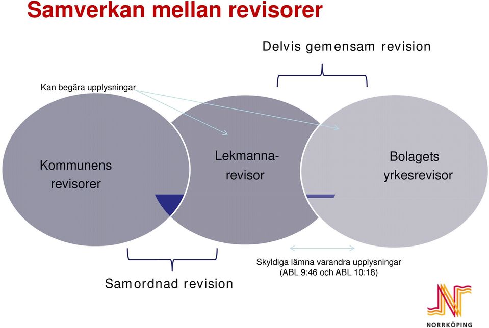 Lekmannarevisor Bolagets yrkesrevisor Samordnad