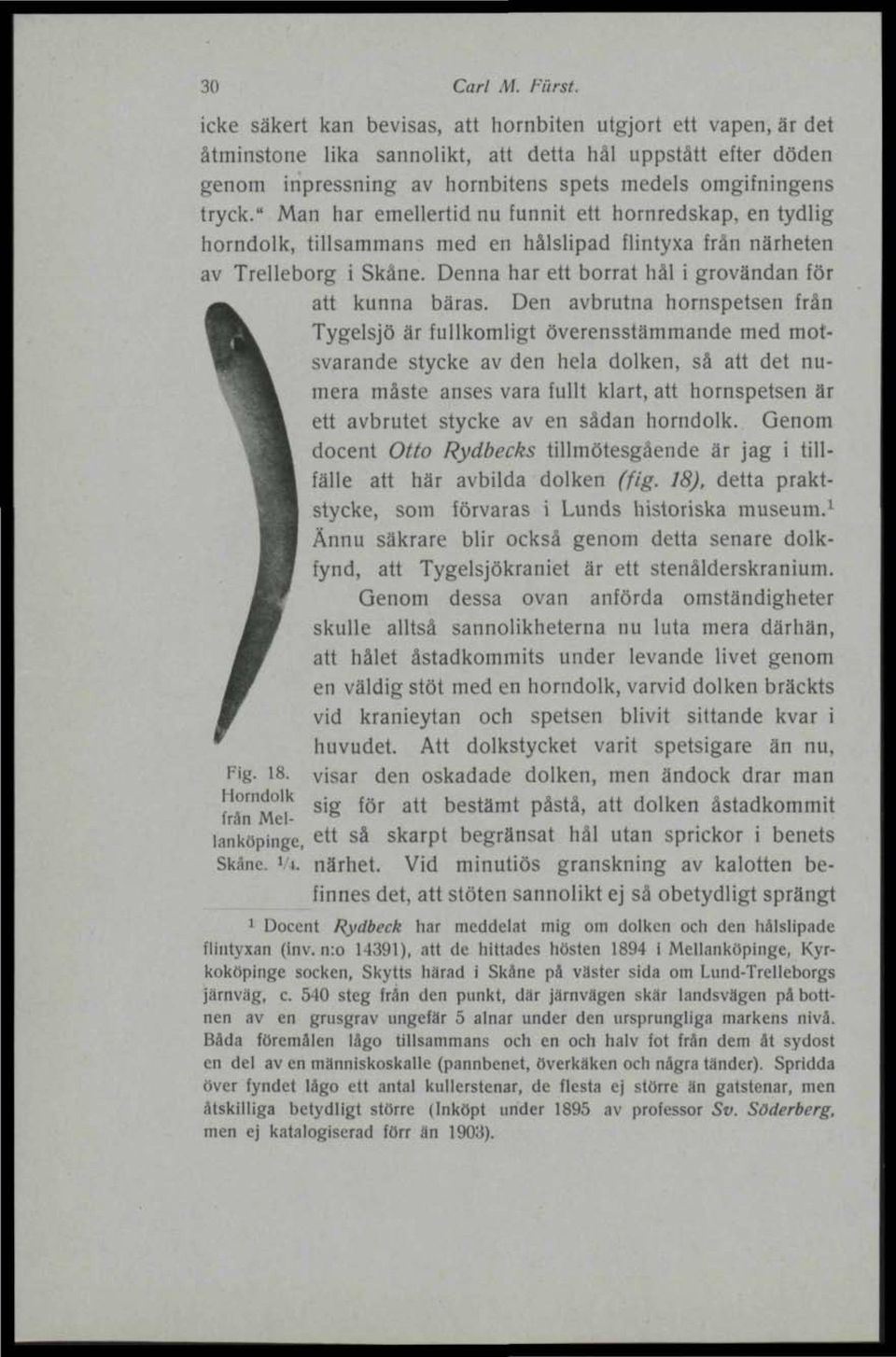 " Man har emellertid nu funnit ett hornredskap, en tydlig horndolk, tillsammans med en hålslipad flintyxa från närheten av Trelleborg i Skåne.