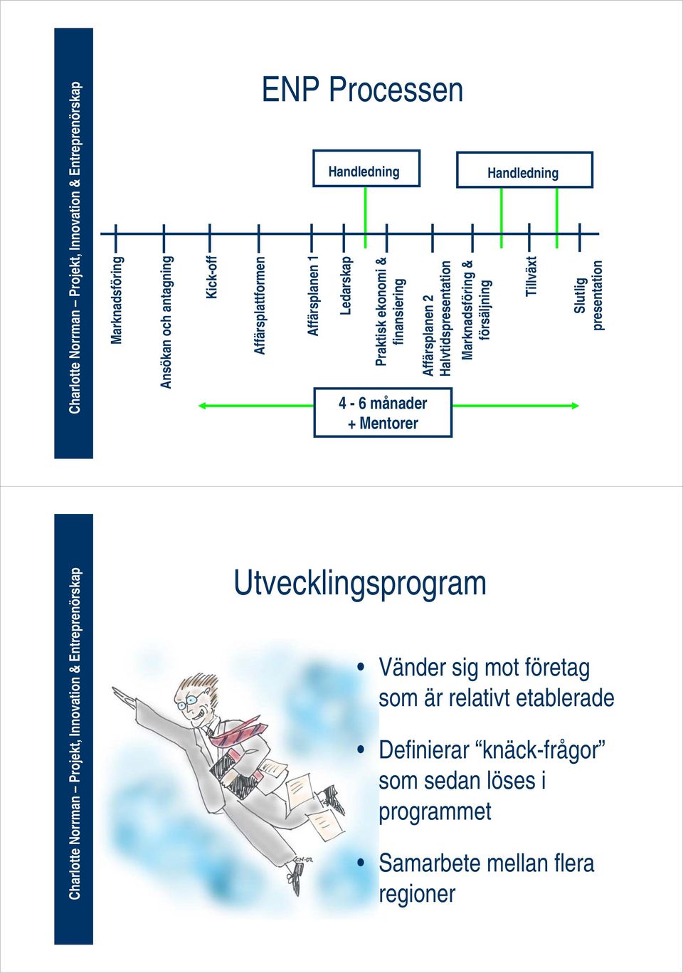 Marknadsföring & försäljning Handledning Tillväxt Slutlig presentation Utvecklingsprogram Vänder sig mot