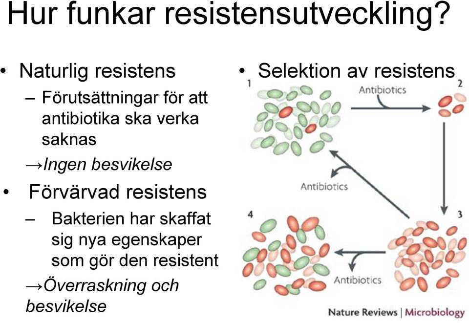 verka saknas Ingen besvikelse Förvärvad resistens Bakterien har