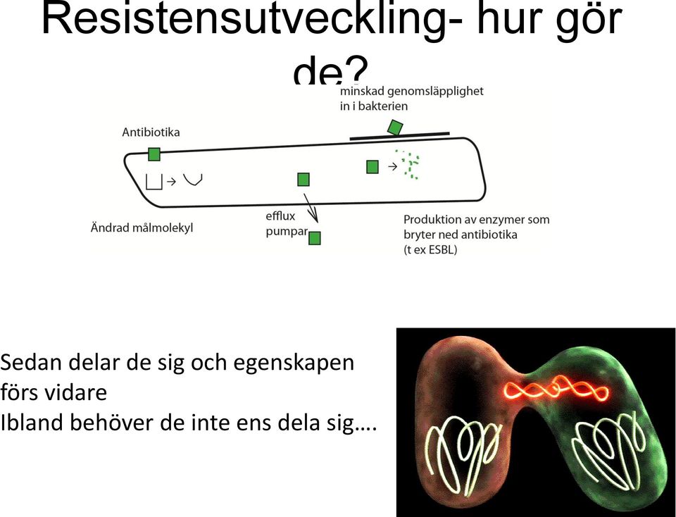 egenskapen förs vidare