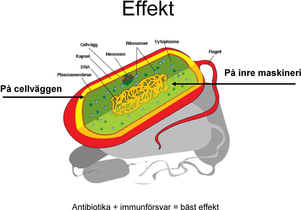 maskineri