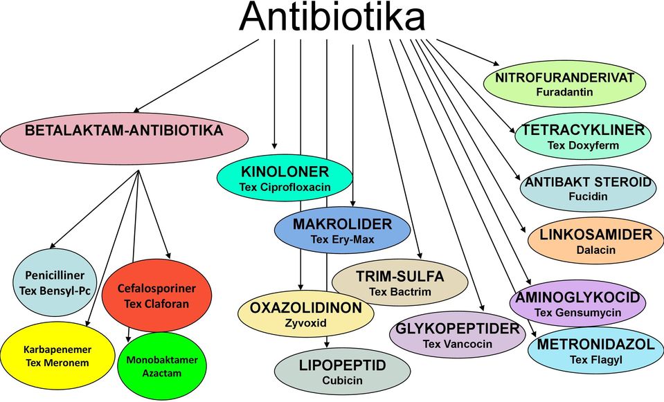 Bensyl-Pc Karbapenemer Tex Meronem Cefalosporiner Tex Claforan Monobaktamer Azactam OXAZOLIDINON Zyvoxid