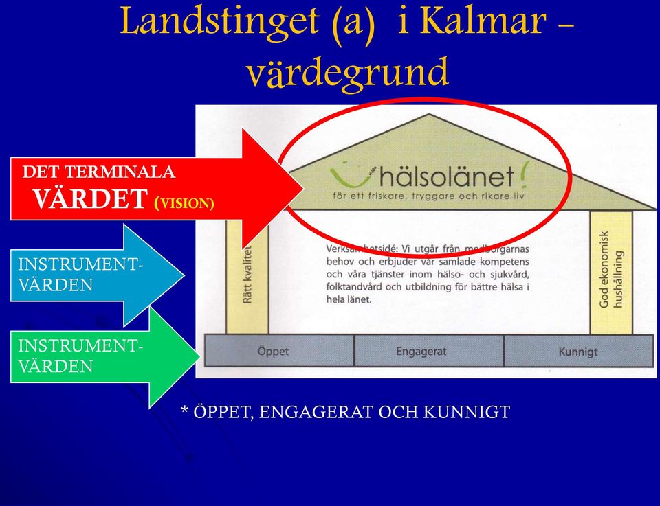 (VISION) INSTRUMENT- VÄRDEN