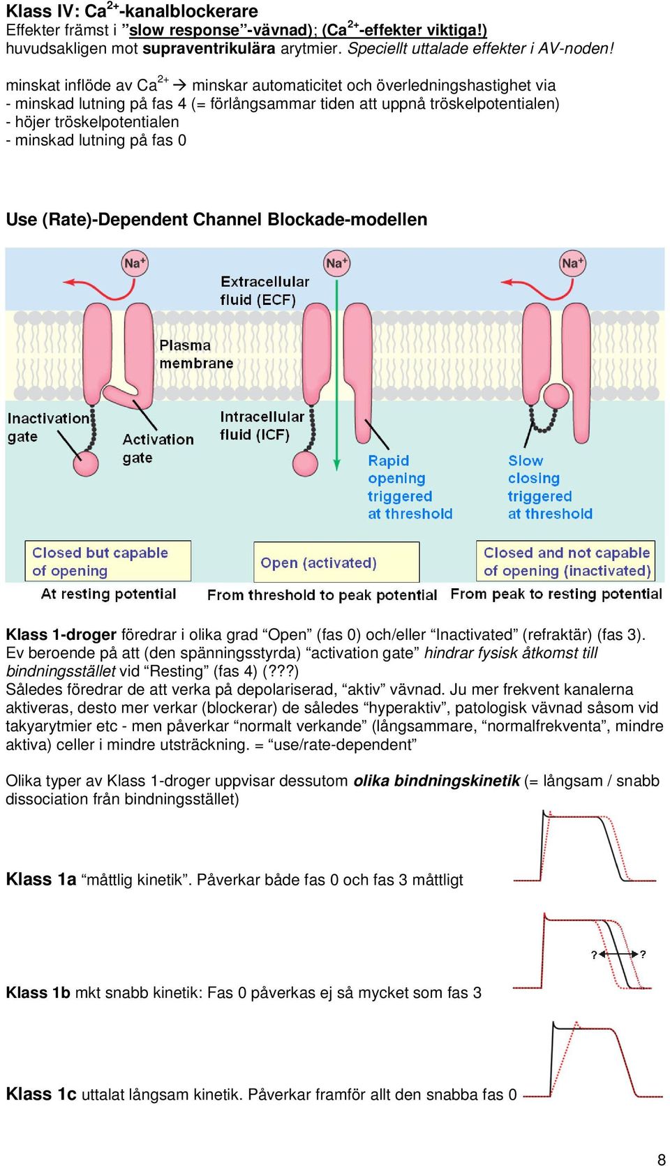 lutning på fas 0 Use (Rate)-Dependent Channel Blockade-modellen Klass 1-droger föredrar i olika grad Open (fas 0) och/eller Inactivated (refraktär) (fas 3).