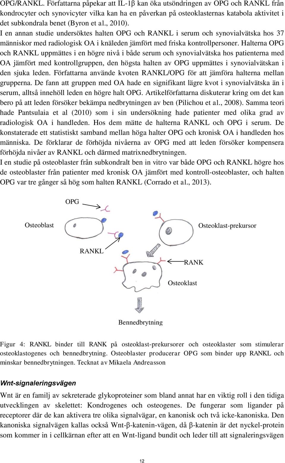 al., 2010). I en annan studie undersöktes halten OPG och RANKL i serum och synovialvätska hos 37 människor med radiologisk OA i knäleden jämfört med friska kontrollpersoner.