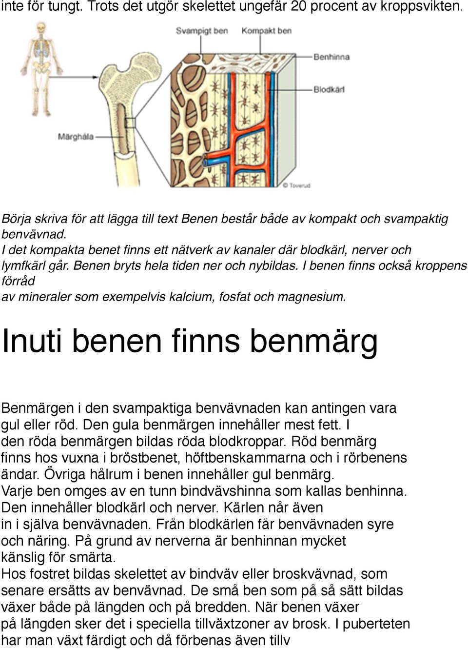 I benen finns också kroppens förråd av mineraler som exempelvis kalcium, fosfat och magnesium. Inuti benen finns benmärg Benmärgen i den svampaktiga benvävnaden kan antingen vara gul eller röd.