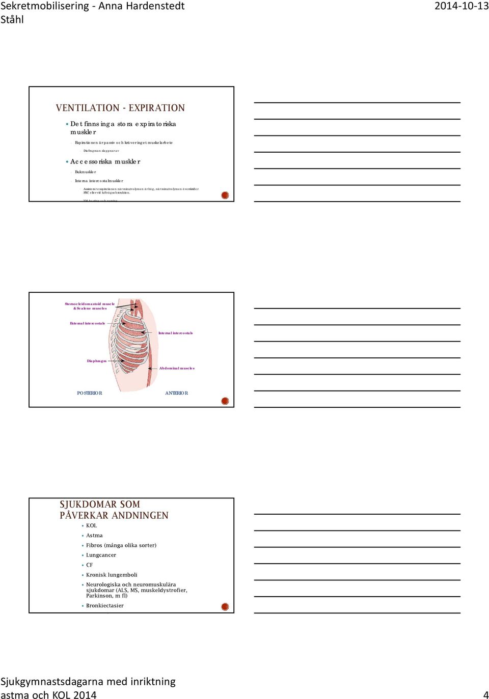 Sternocleidomastoid muscle & Scalene muscles External intercostals Internal intercostals Diaphragm Abdominal muscles POSTERIOR ANTERIOR SJUKDOMAR SOM PÅVERKAR ANDNINGEN KOL